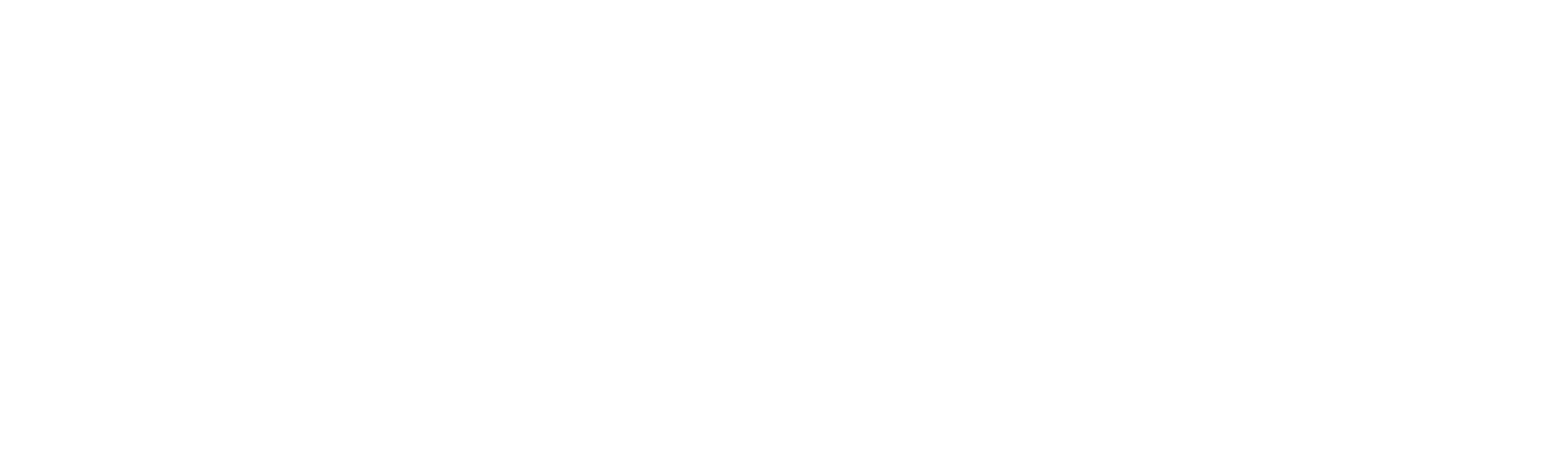 logo1